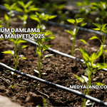 1 Dönüm Damlama Sulama Maliyeti 2025