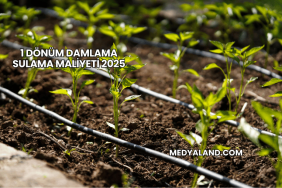 1 Dönüm Damlama Sulama Maliyeti 2025