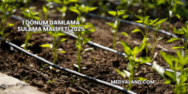 1 Dönüm Damlama Sulama Maliyeti 2025