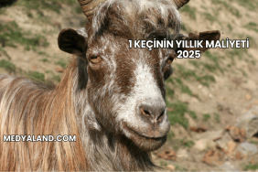 1 Keçinin Yıllık Maliyeti 2025