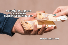 Artemis Halı Halka Arz Katılım Endeksine Uygun mu?