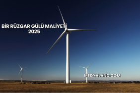 Bir Rüzgar Gülü Maliyeti 2025