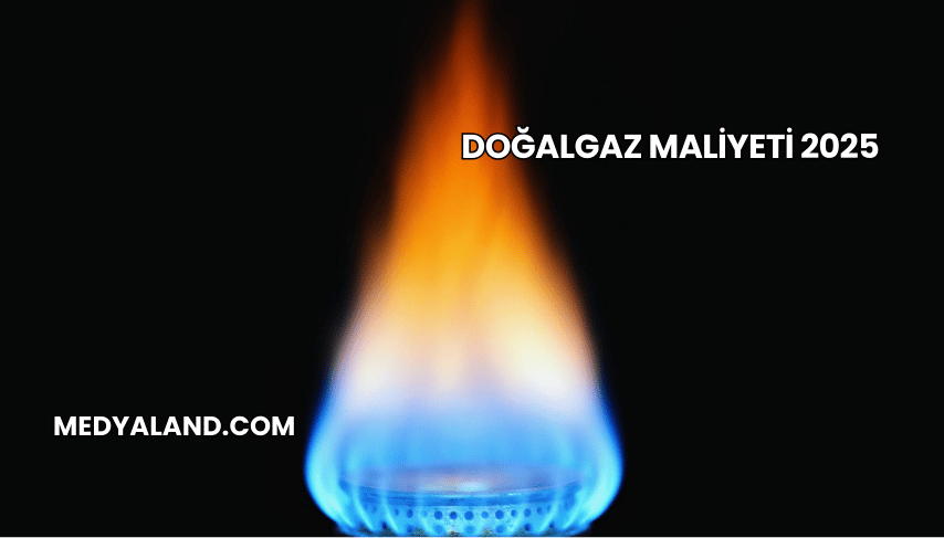 Doğalgaz Maliyeti 2025