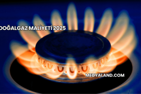 Doğalgaz Maliyeti 2025