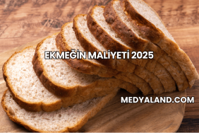 Ekmeğin Maliyeti 2025