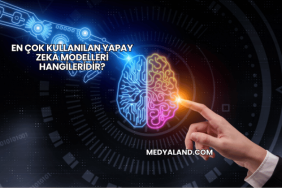 En Çok Kullanılan Yapay Zeka Modelleri Hangileridir?
