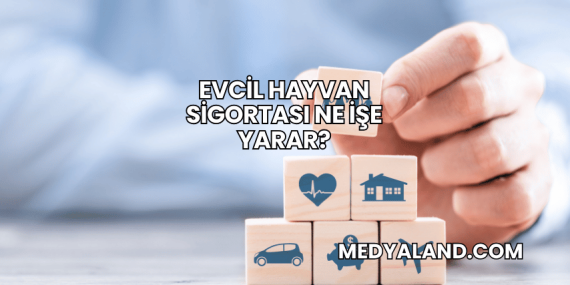 Evcil Hayvan Sigortası Ne İşe Yarar?