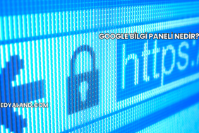 Google Bilgi Paneli Nedir?