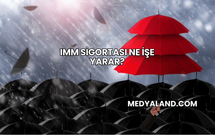 IMM Sigortası Ne İşe Yarar?