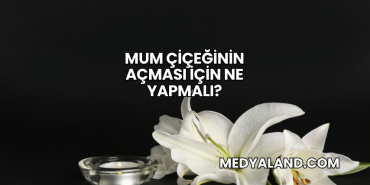 Mum Çiçeğinin Açması İçin Ne Yapmalı?