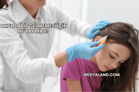 Okulda Bit Gelmemesi İçin Ne Yapmalı?