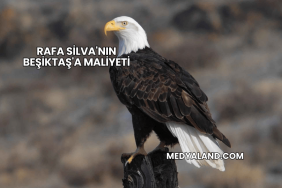 Rafa Silva'nın Beşiktaş'a Maliyeti