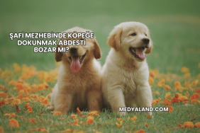 Islanmak Oruç Bozar mı?