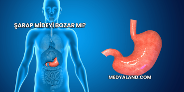Şarap Mideyi Bozar mı?