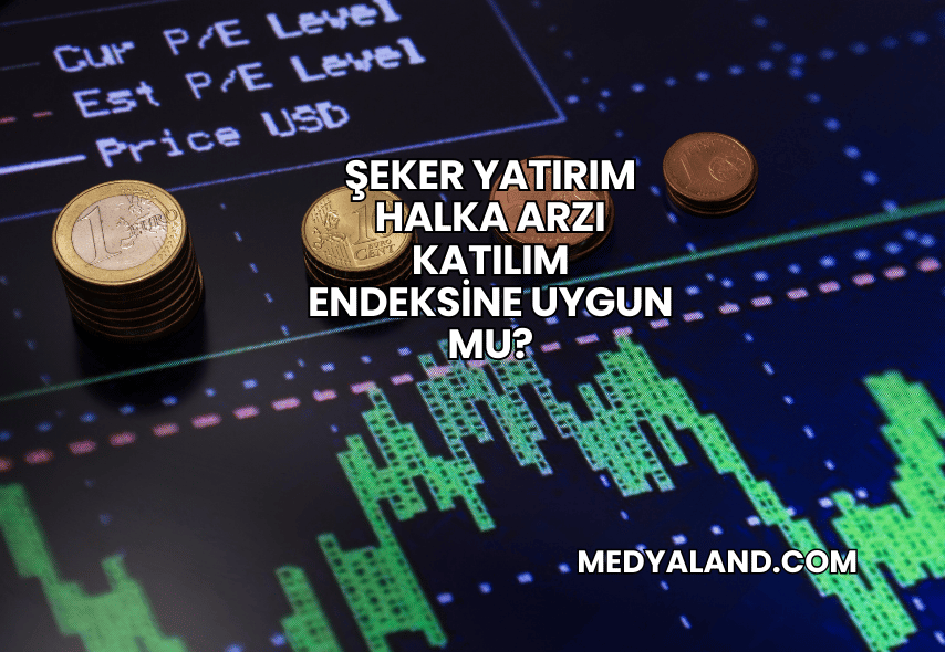 Şeker Yatırım Halka Arzı Katılım Endeksine Uygun mu?