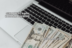 Sermayesiz Para Kazanma Fikirleri
