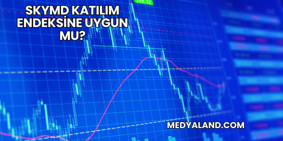 SkyMD Katılım Endeksine Uygun mu?