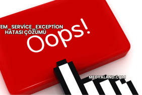 System_Service_Exception Hatası Çözümü