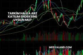 Tarkim Halka Arz Katılım Endeksine Uygun mu?