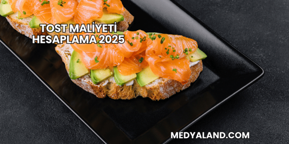 Tost Maliyeti Hesaplama 2025