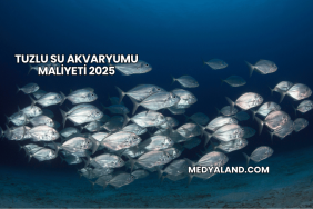 Tuzlu Su Akvaryumu Maliyeti 2025