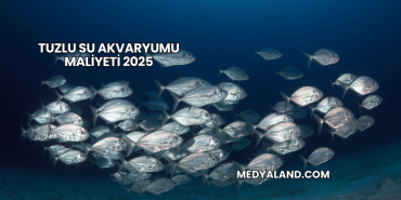 Tuzlu Su Akvaryumu Maliyeti 2025