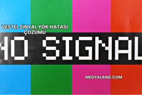 Vestel Sinyal Yok Hatası Çözümü