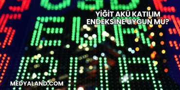 Yiğit Akü Katılım Endeksine Uygun mu?