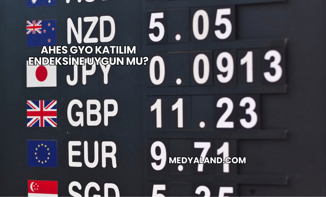 Ahes GYO Katılım Endeksine Uygun mu?