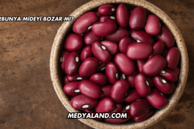 Barbunya Mideyi Bozar mı?