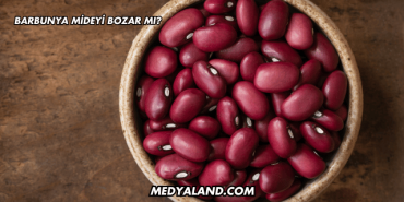 Barbunya Mideyi Bozar mı?