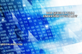 Bor Şeker Katılım Endeksine Uygun mu?