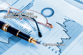 Enerjisa Katılım Endeksine Uygun mu?