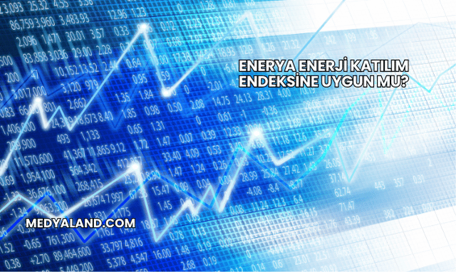 Enerya Enerji Katılım Endeksine Uygun mu?
