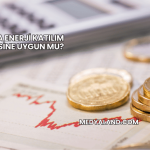 Enerya Enerji Katılım Endeksine Uygun mu?