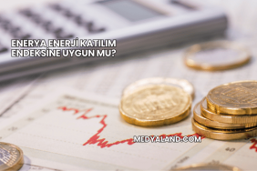 Enerya Enerji Katılım Endeksine Uygun mu?