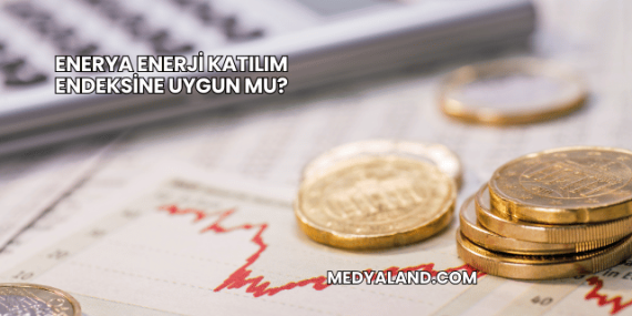 Enerya Enerji Katılım Endeksine Uygun mu?