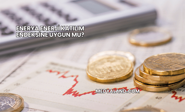 Enerya Enerji Katılım Endeksine Uygun mu?