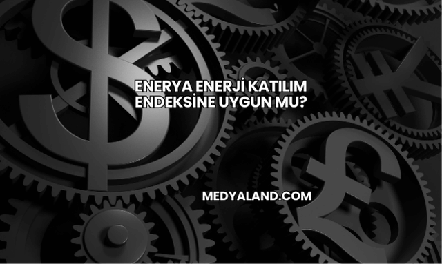 Enerya Enerji Katılım Endeksine Uygun mu?