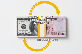 Enerya Halka Arz Katılım Endeksine Uygun mu?