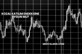 Kozal Katılım Endeksine Uygun mu?