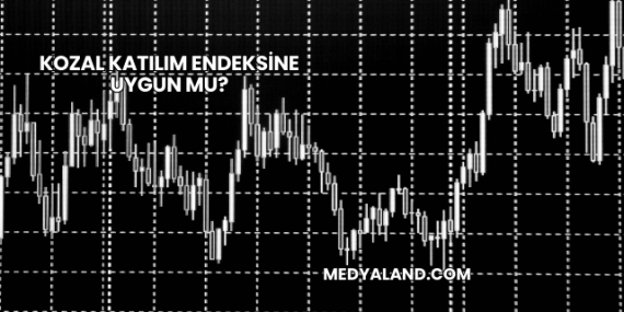 Kozal Katılım Endeksine Uygun mu?