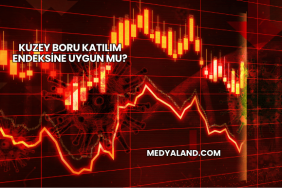 Kuzey Boru Katılım Endeksine Uygun mu?
