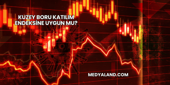 Kuzey Boru Katılım Endeksine Uygun mu?