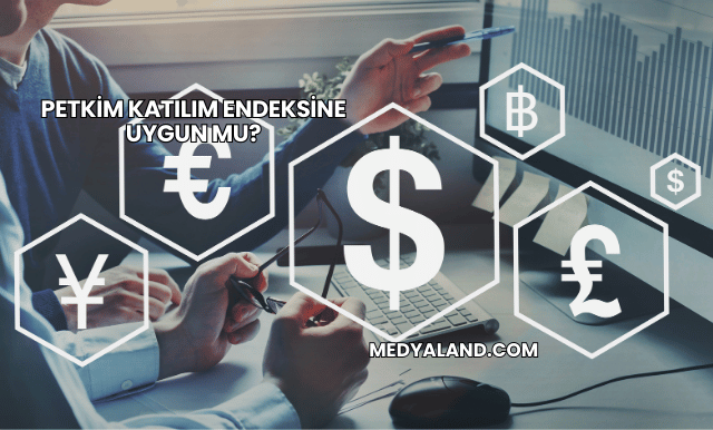 Petkim Katılım Endeksine Uygun mu?