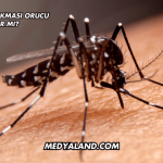 Sivrisinek Sokması Orucu Bozar mı?