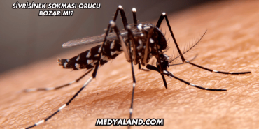 Sivrisinek Sokması Orucu Bozar mı?
