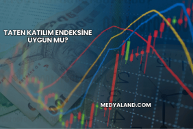 Taten Katılım Endeksine Uygun mu?
