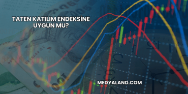Taten Katılım Endeksine Uygun mu?