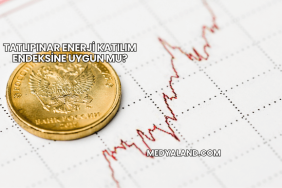 Tatlıpınar Enerji Katılım Endeksine Uygun mu?